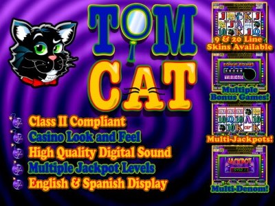 Tom Cat
